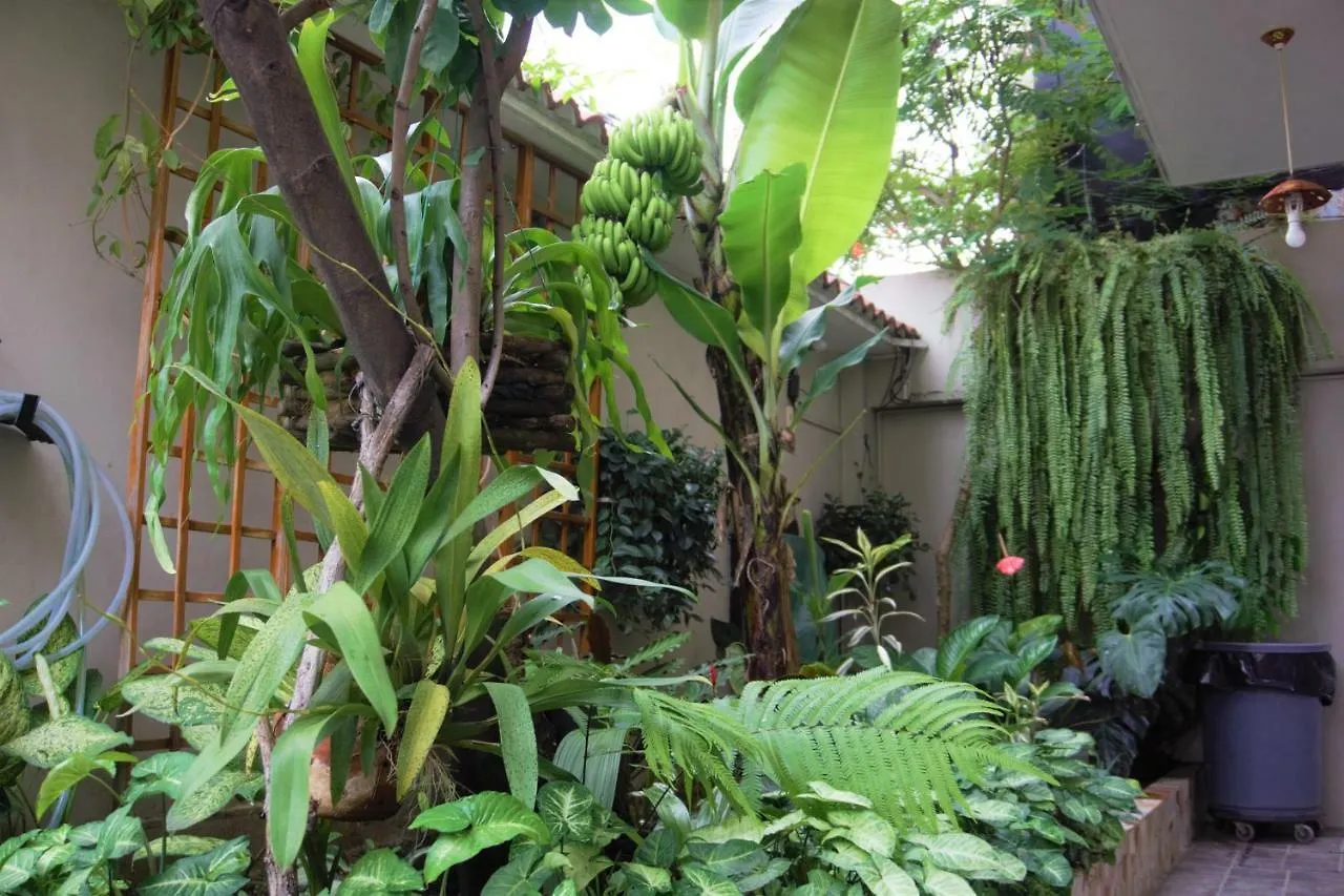 Hostal Macaw Guayaquil Bed & Breakfast